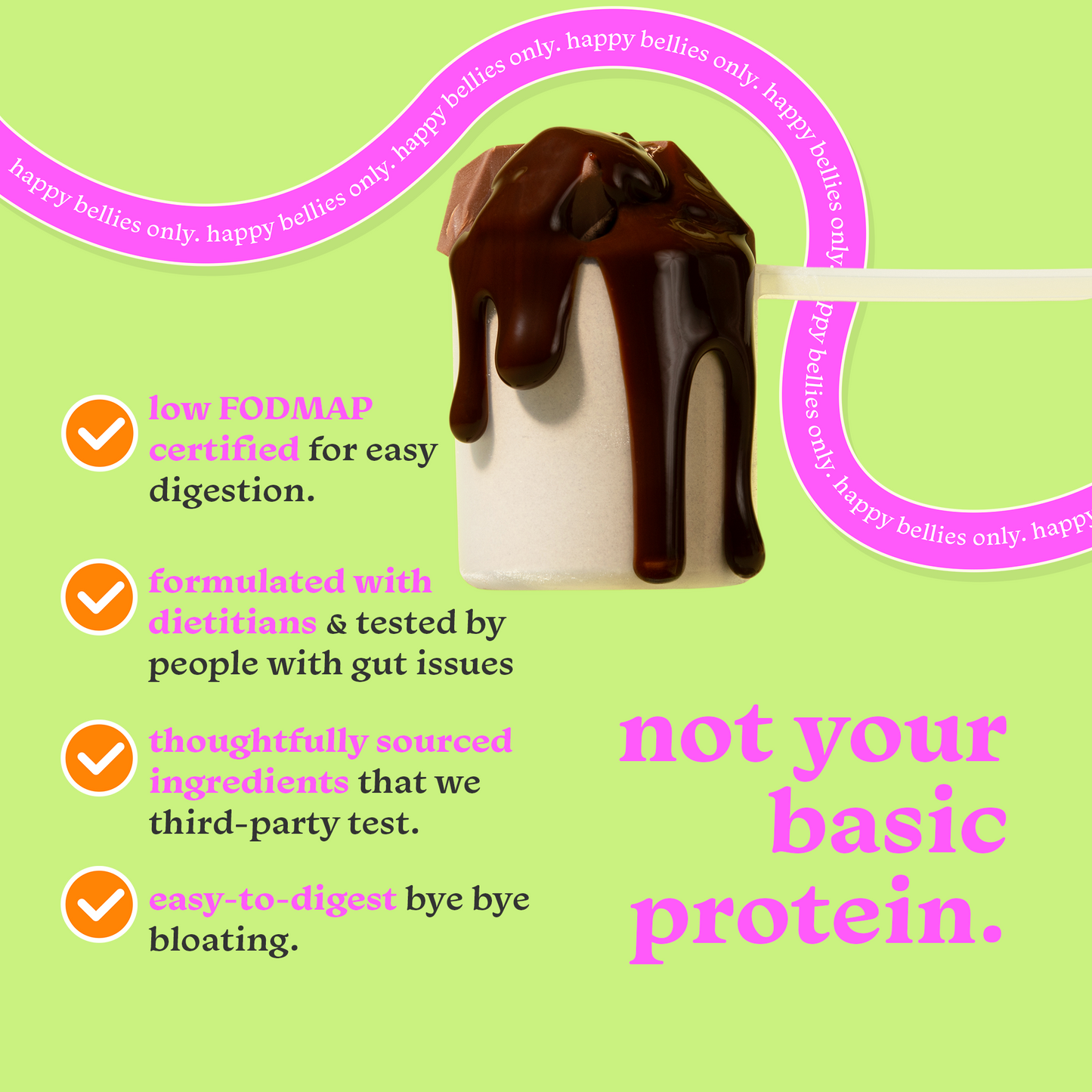 chocolate protein powder